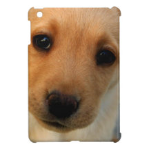 Ipad Mini QPC template iPad Mini Cove - Customized iPad Mini Cover