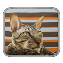 iPad Sleeve | Benson Retro Stripes Cornish Rex Cat