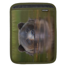 iPad Sleeve, Grizzle in green waters