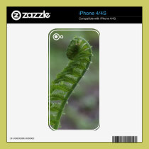 iPhone 4/4S Fern Frond Skin skins