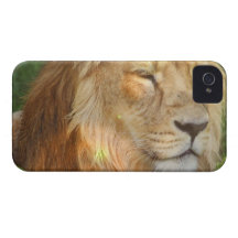iphone 4 barely there QPC template Ca - Customized iPhone 4 Cases