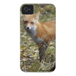 iphone 4 barely there QPC template Ca - Customized Case-Mate iPhone 4 Case