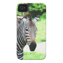 iphone 4 barely there QPC template Ca - Customized Case-Mate iPhone 4 Case