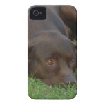 iphone 4 barely there QPC template Ca - Customized iPhone 4 Case-Mate Cases