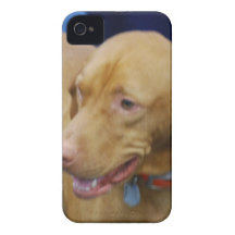 iphone 4 barely there QPC template Ca - Customized Case-Mate iPhone 4 Case