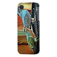 iPhone 4 Case