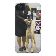 iphone 4 case