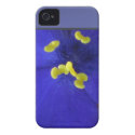 iPhone 4 Case - Blue Flower