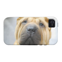 Iphone 4 Vibe QPC template iPhone 4/4 - Customized iPhone 4 Covers