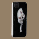 Iphone 4s Case - LaPerm cat casemate cases