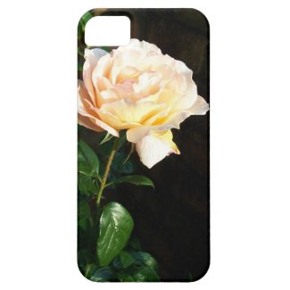 iPhone 5 Barely There Case, Pale Pink Rose iPhone 5 Cases