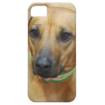 iphone 5 barly there QPC template iPh - Customized iPhone 5 Case