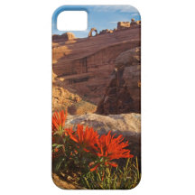 iPhone 5 case