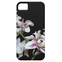 iPhone 5 Case