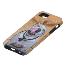 iPhone 5 Case ANGEL WINGS @PitBullSharky Peacock casemate cases