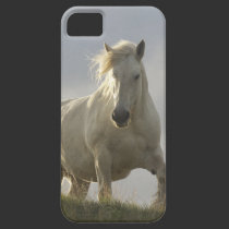iphone 5 case horse casemate cases