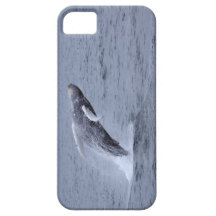 Iphone 5 Case-mate Humpback Whale breaching