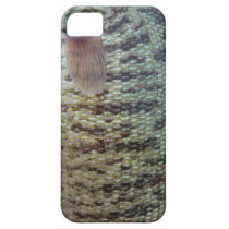 iPhone 5 Case (Smallmouth Bass 2) casemate cases
