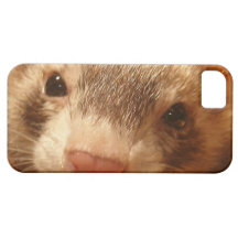 iPhone 5 case with big cute ferret face
