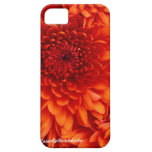 iPhone 5 Chrysanthemum Case iPhone 5 Case