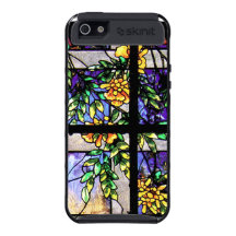 iPhone 5 skinitcase Case For iPhone 5