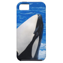 iphone 5 vibe QPC template iPhone 5 C - Customized iPhone 5 Cases