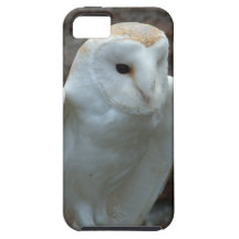 iphone 5 vibe QPC template iPhone 5 C - Customized iPhone 5 Cover