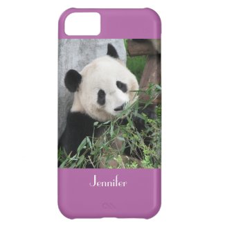 iPhone 5c Case Giant Panda Radiant Orchid Bkgnd