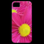 iPhone Case-Hot Pink Daisies casemate cases