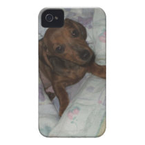 iphone case with puppy casemate cases