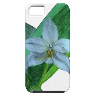 iPhone Case with White Terrestrial Orchid iPhone 5 Cases
