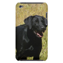 iPod Touch Case - Customized