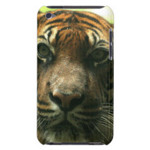 iPod Touch Case - Customized