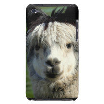 iPod Touch Case - Customized