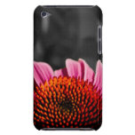 iPod Touch Case - Purple Coneflower