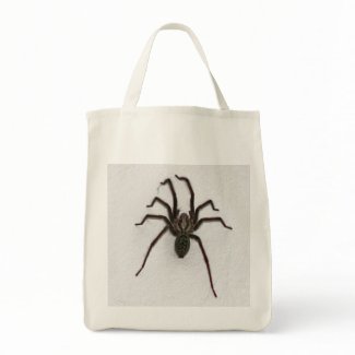 ipsy vipsy spider bag bag
