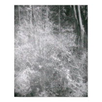 IR Bush posters
