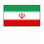 Iran Flag Map Spaghetti Top