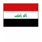 Iraq Flag Map Spaghetti Top