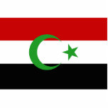 Iraq flag photo cut outs