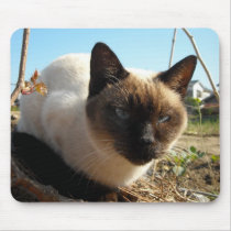 Irate Kitty mousepads