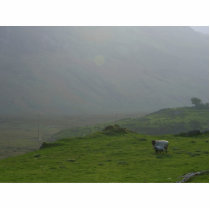 Ireland A Sunrise In Ireland In The Inneh Vally photo sculptures
