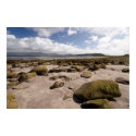Ireland beach print