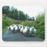 Ireland Beara Sheep Mousepad
