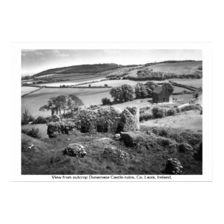 Dunamase Castle ruins, Ireland print