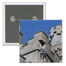 Ireland, County Kilkenny, medieval castle. Buttons
