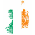 Ireland Distressed shirt by LifeEmbellished Ireland Distressed shirt