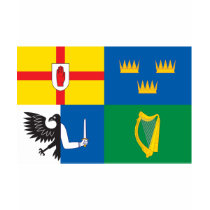Ireland (Four Provinces Flag) t-shirts