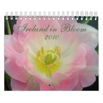 Ireland in Bloom 2010 Calendar