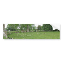 Ireland Trees Moss Rocks bumper stickers by lifesphere Ireland Trees Moss Rocks bumper stickers